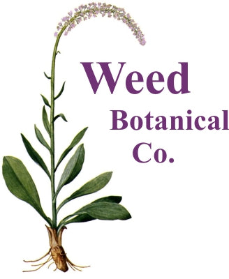 weed botanical logo