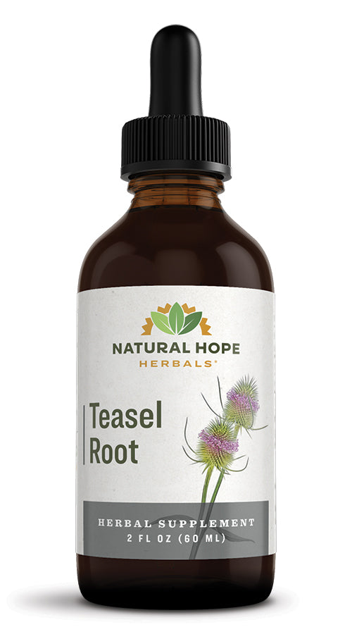 Rare & Babbit Tincture of Teasel Root (( NOTE: this product has been replaced with NH Teasel 2 oz. ))