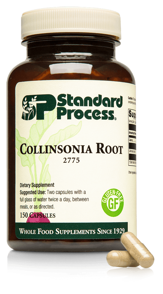 Collinsonia Root