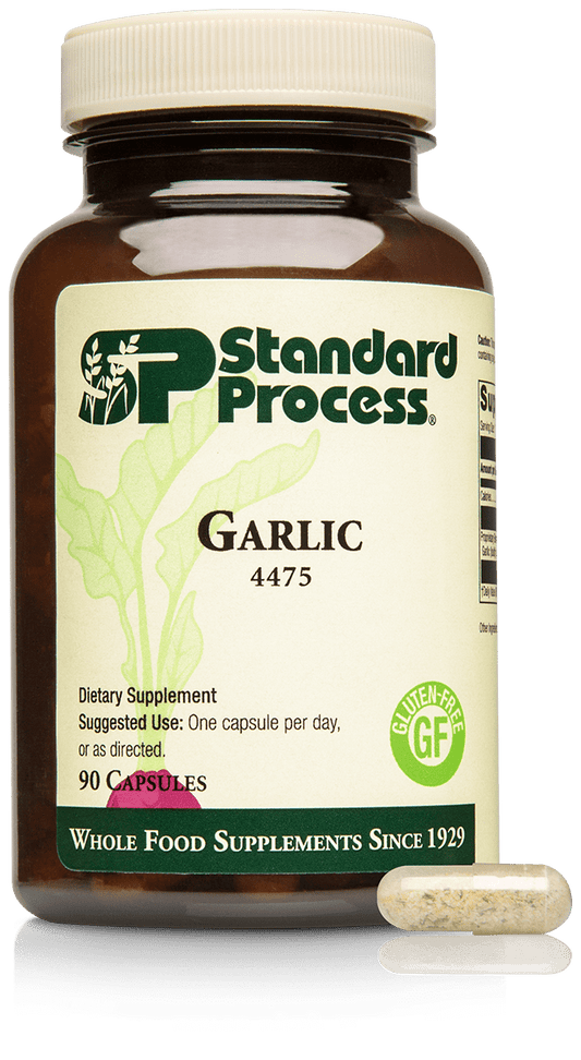 Garlic