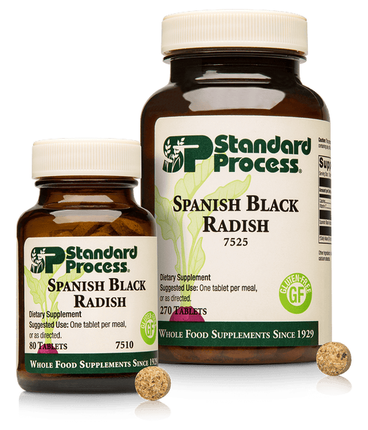 Spanish Black Radish