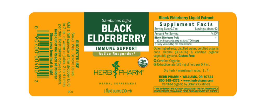 Black Elderberry