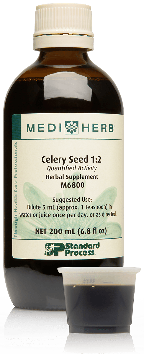 Celery Seed 1:2