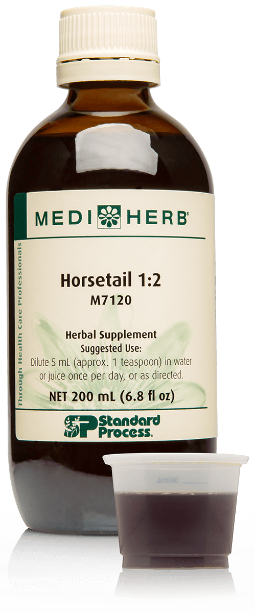 Horsetail 1:2