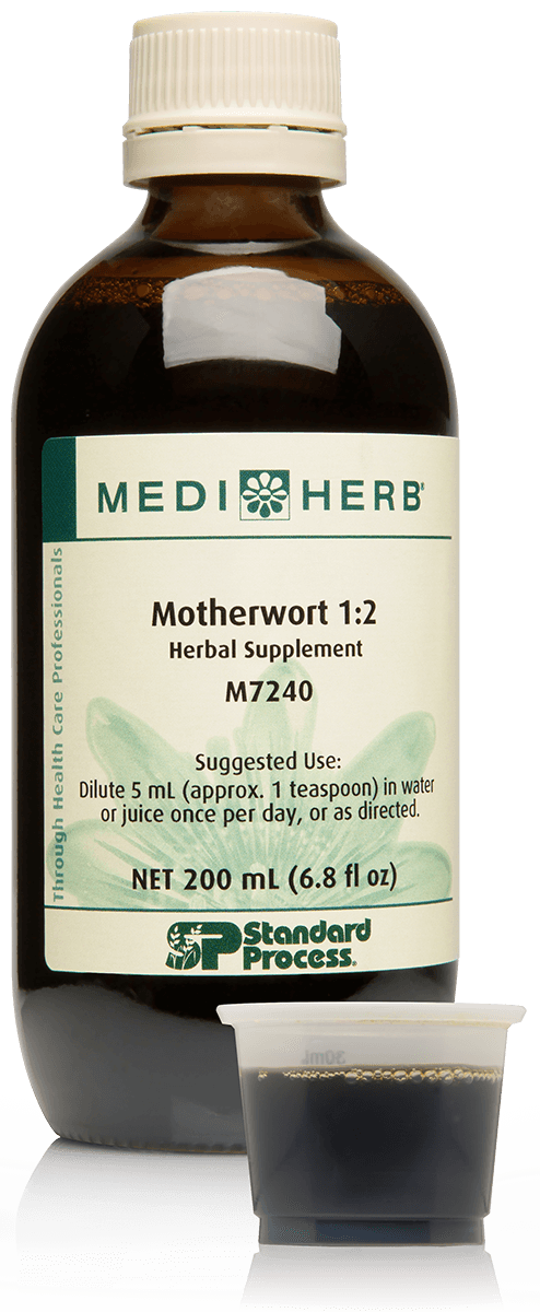 Motherwort 1:2