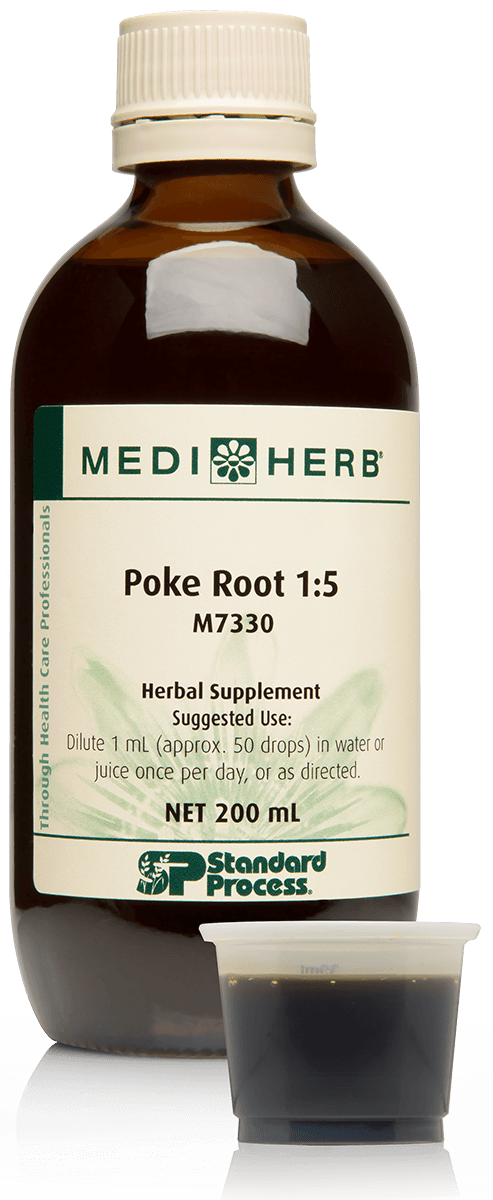 Poke Root 1:5