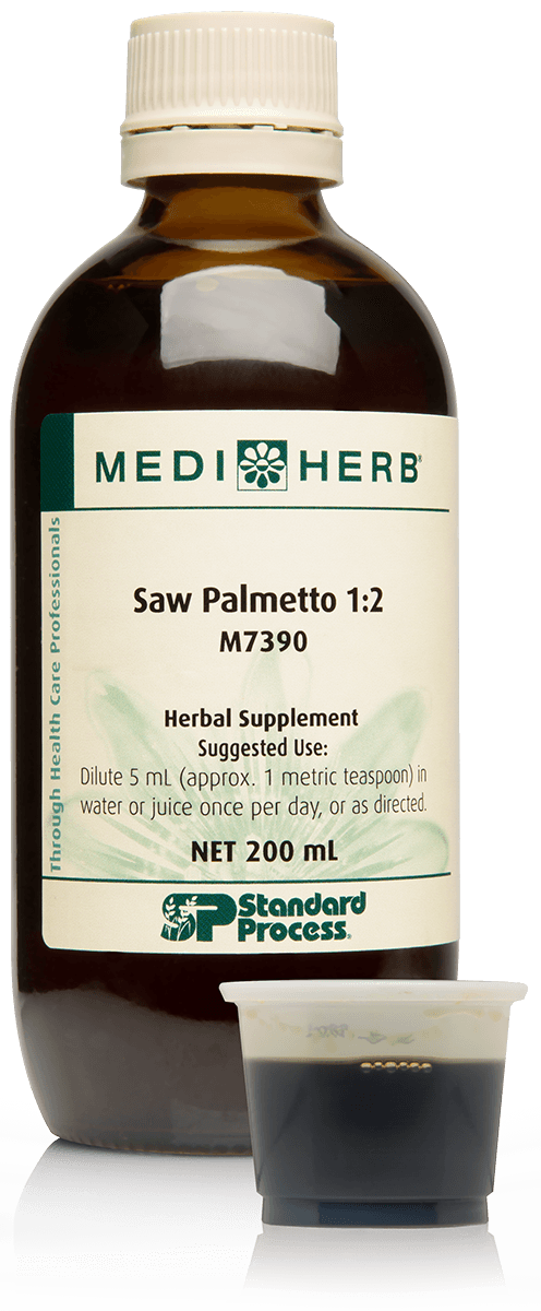 Saw Palmetto 1:2